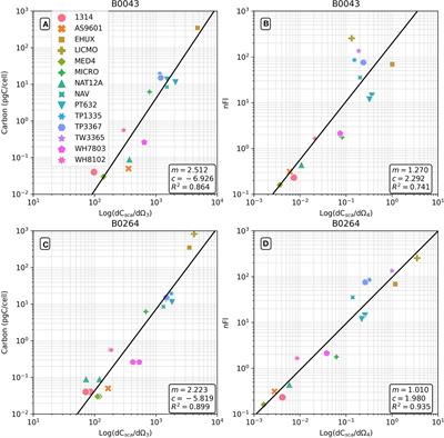 Determining drivers of phytoplankton carbon to chlorophyll ratio at Atlantic Basin scale